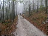 Repna dolina - Javornik nad Črnim Vrhom